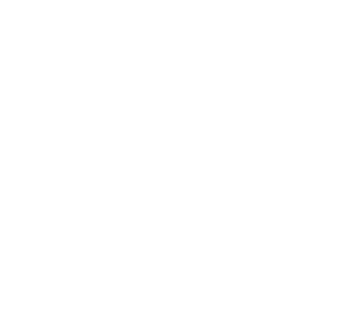 Rabbit icon